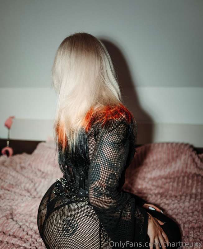 chartreuxx image #0