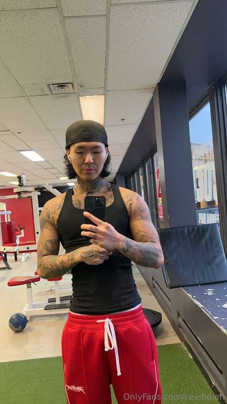 vietpapi