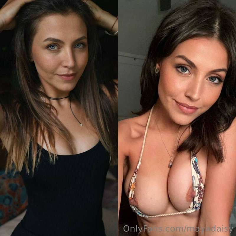 mayadaisy
