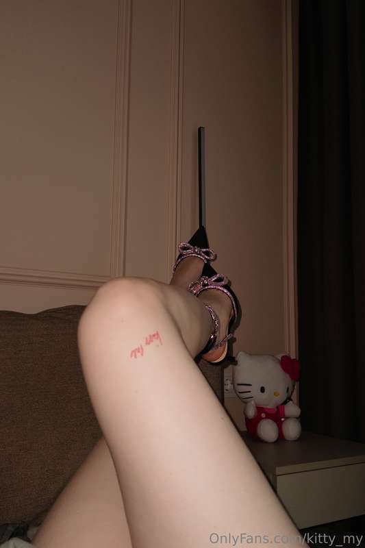 kitty_my