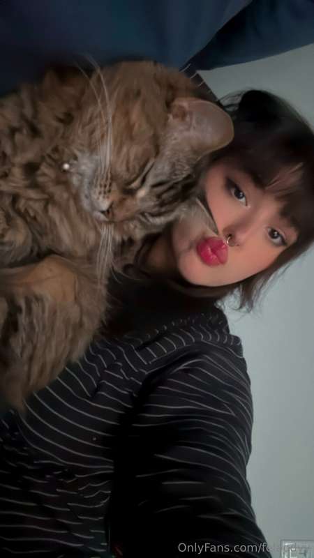 felaodyy image #0