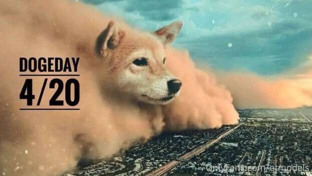 We support Onlyfans accepting Dogecoin!! #DogeDay420