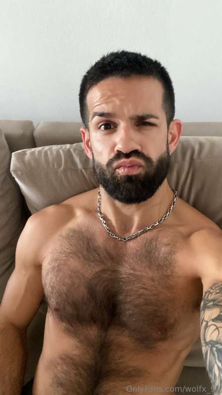 wolfx_91