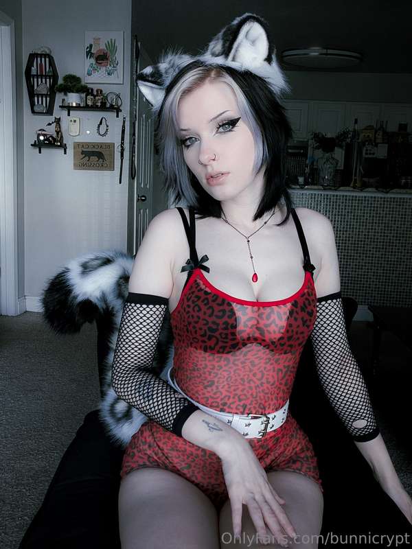 bunnicrypt image #9