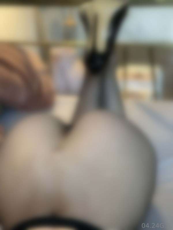 gingery.shoot image #1