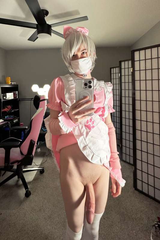 catboiaoi image #4