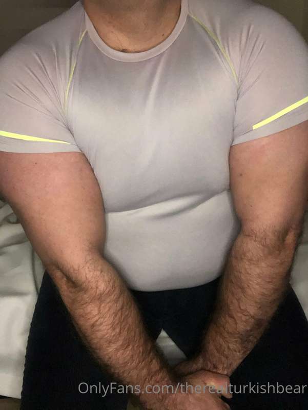 therealturkishbear