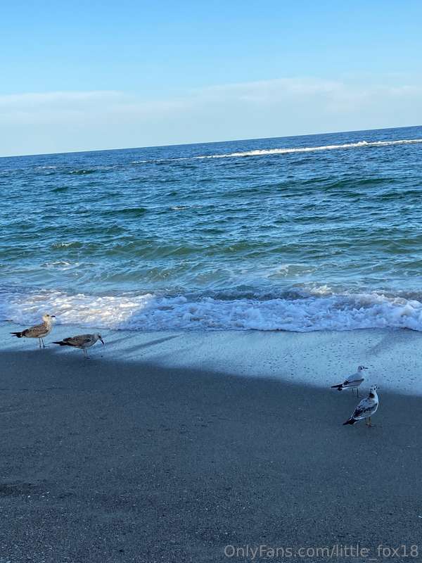 media
