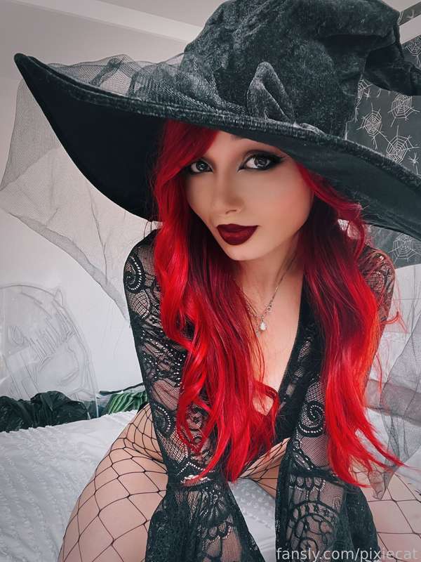 pixiecat image #30