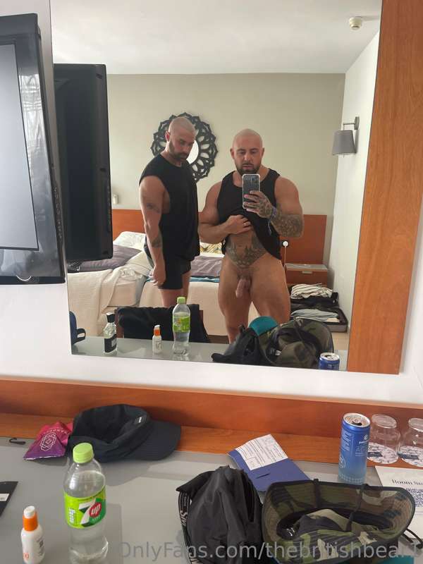 thebritishbear1