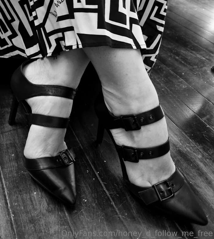 honey_d_follow_me_free