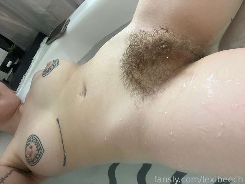lexibeech image #1