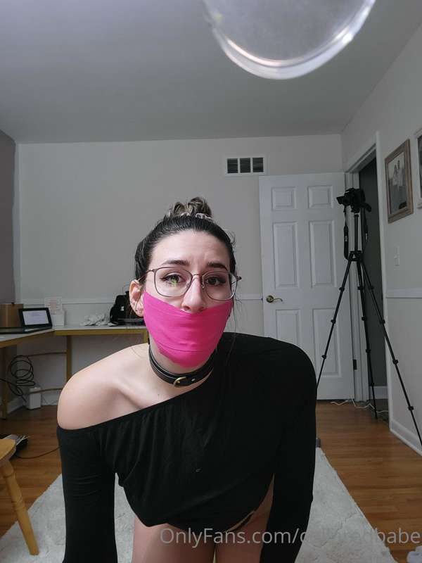 collaredbabe image #3