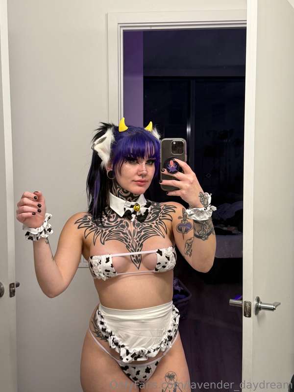 lavender_daydream