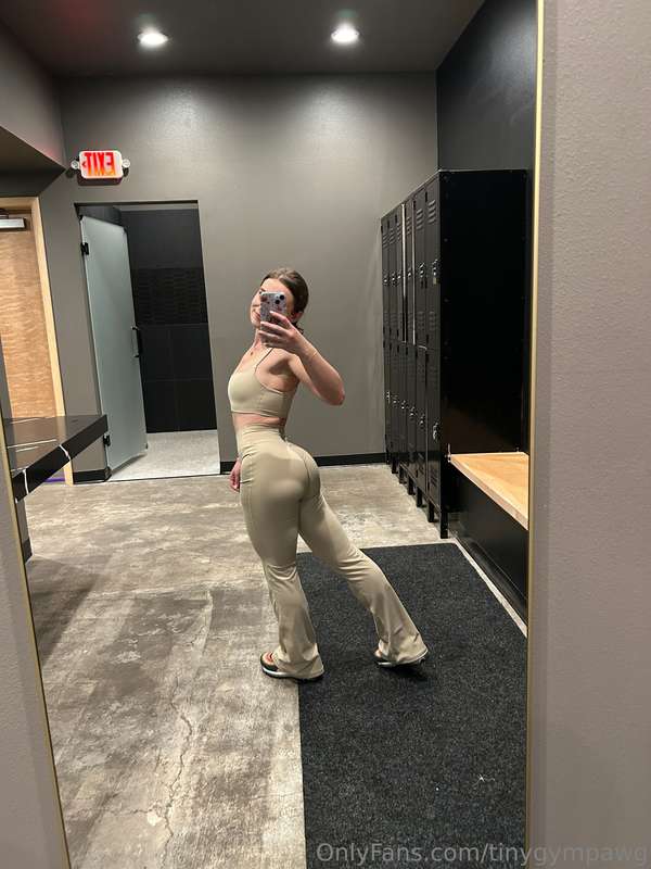tinygympawg
