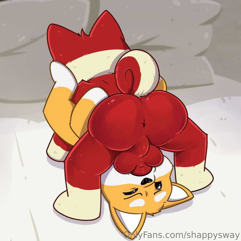 shappysway