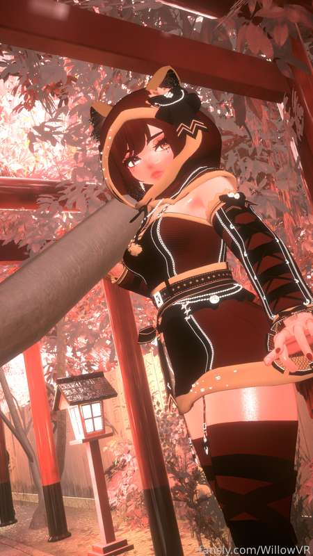 WillowVR image #5