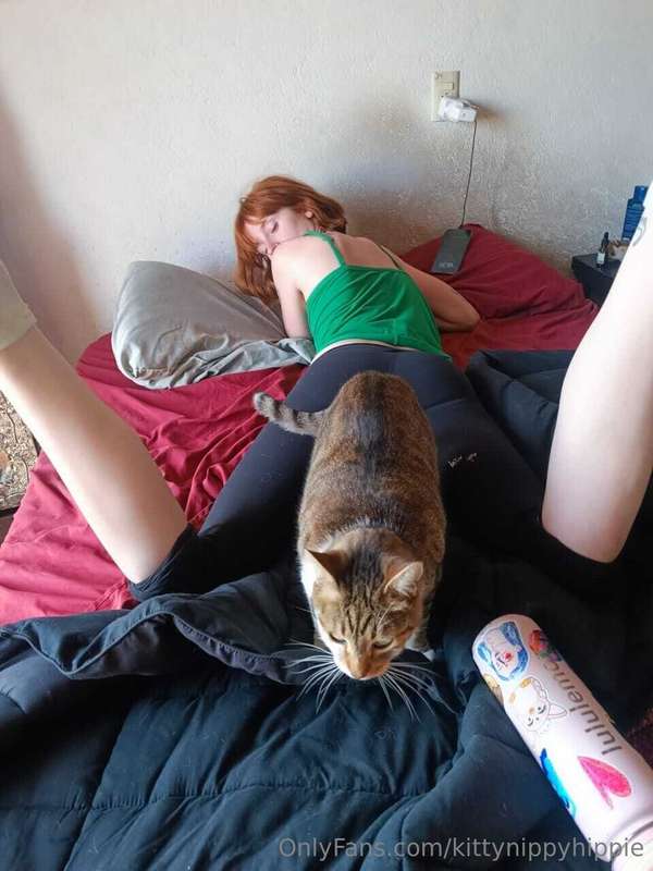 kittynippyhippie image #2