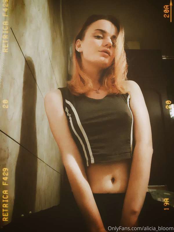 🐨🐨🐨