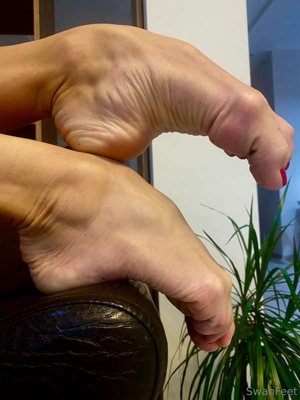 swanfeet
