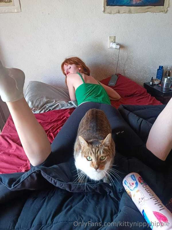 kittynippyhippie image #1