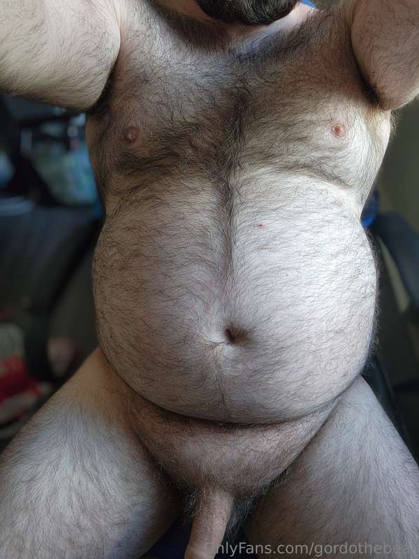 gordothebear