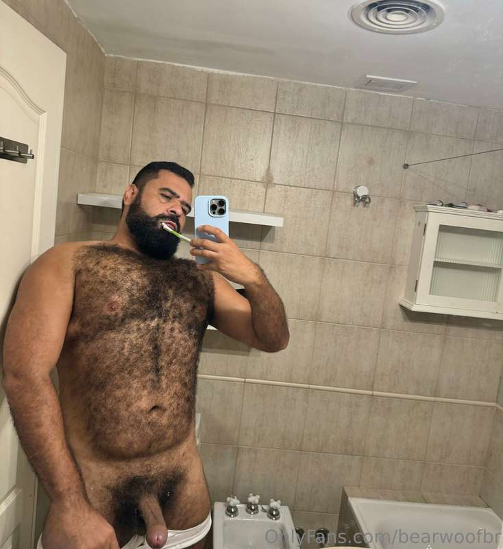 bearwoofbr