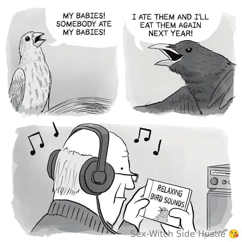 media