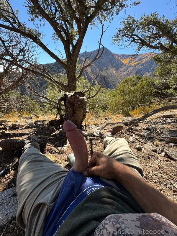media