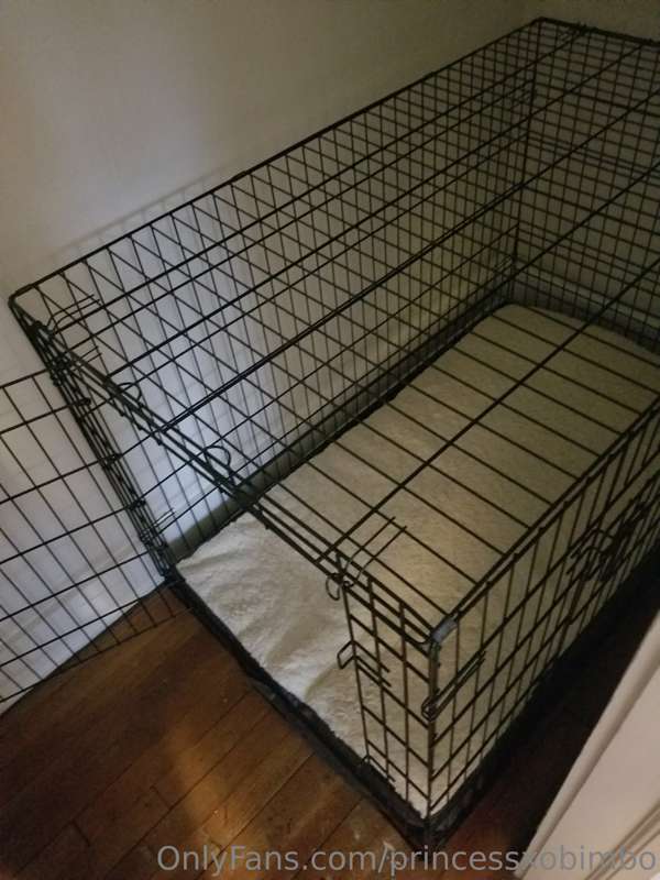 Look what showed in the mail! Who wants to be my pet first?