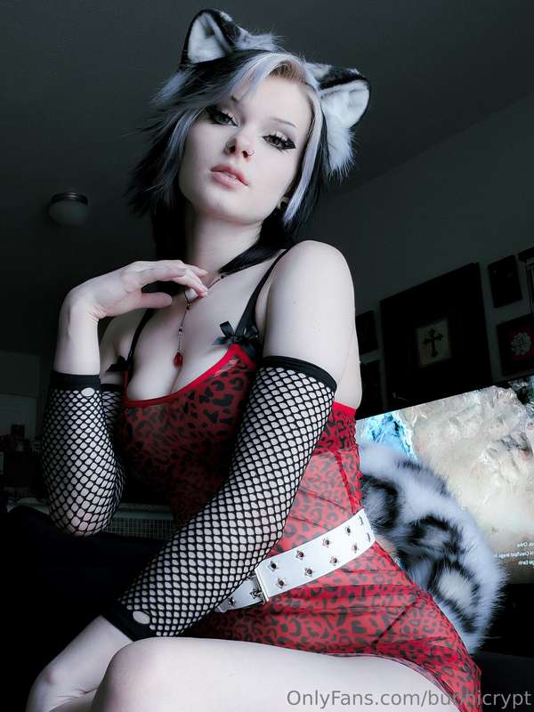 bunnicrypt image #18