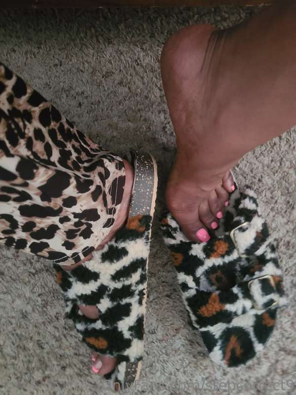 stepcorrect9 image #0
