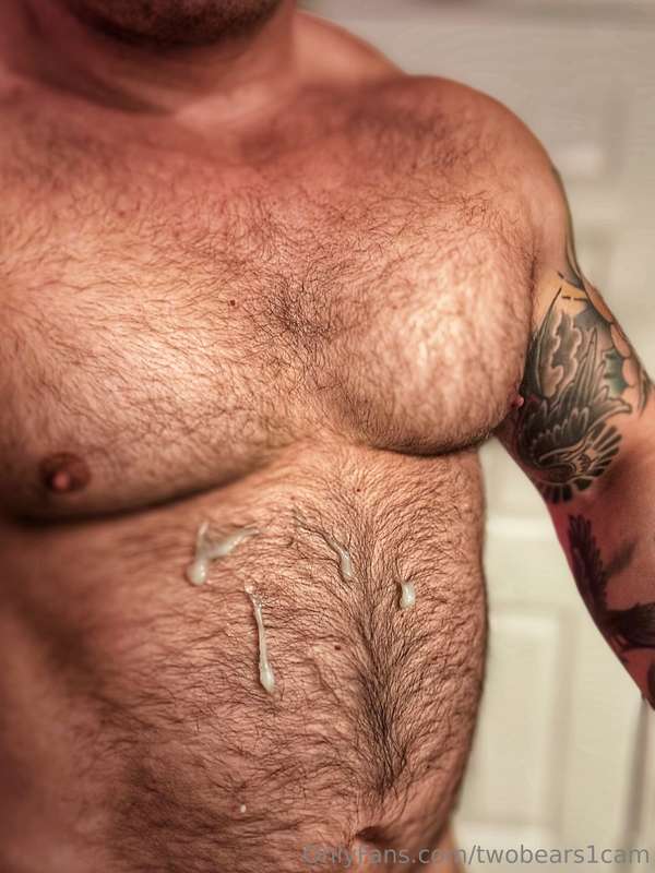 twobears1cam