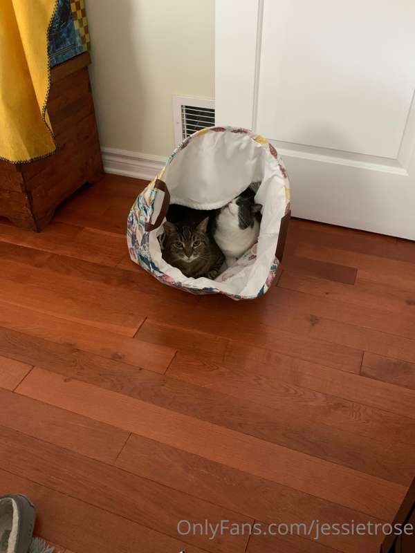 media