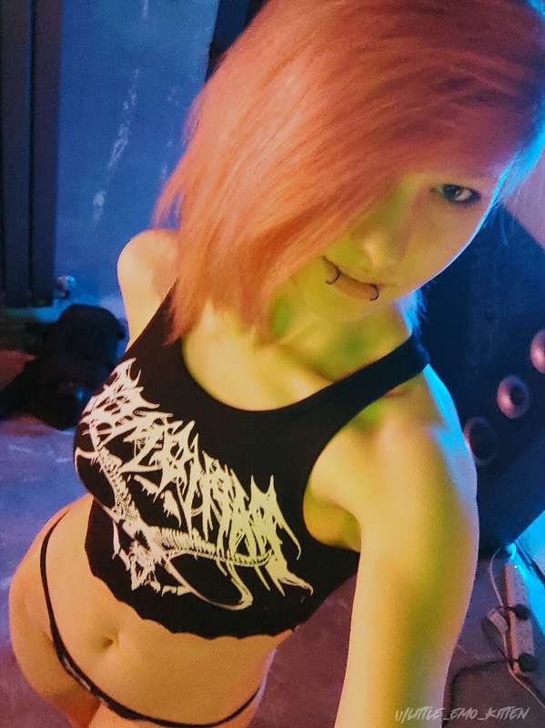 little_emo_kitten photo