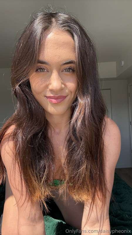 daisypheonix
