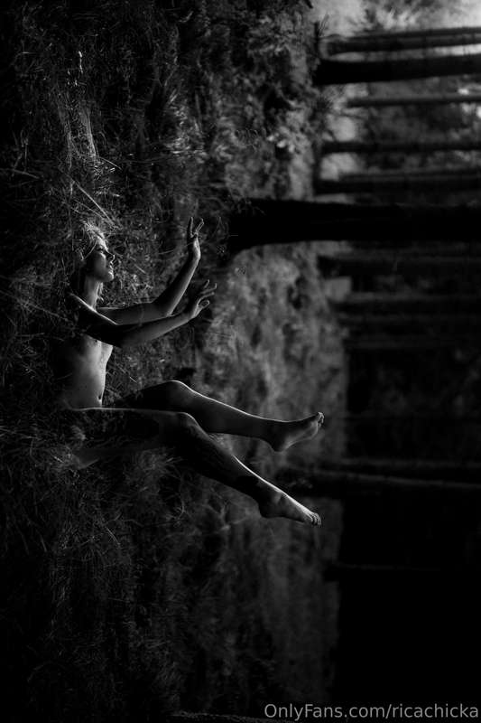 media