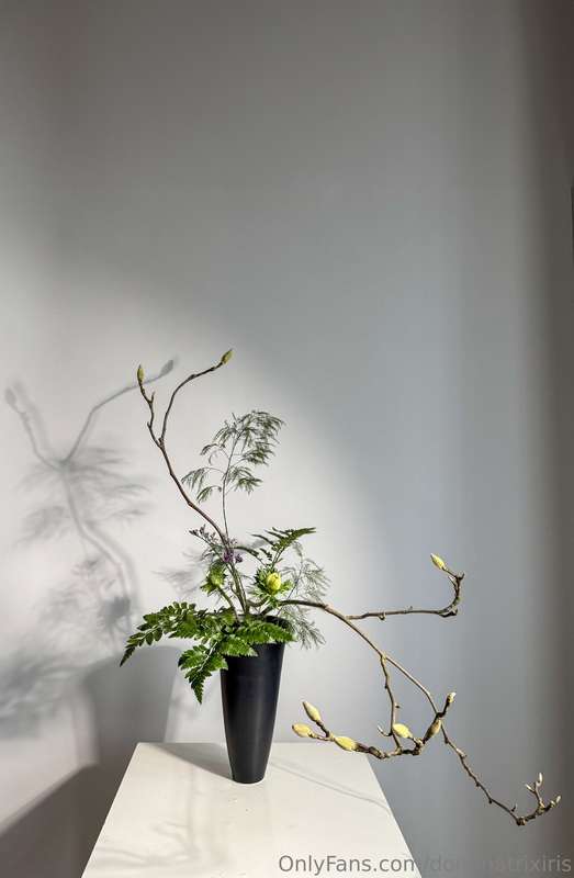 Taking a moment to appreciate the subtlety of simplicity tod..