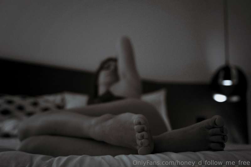 honey_d_follow_me_free