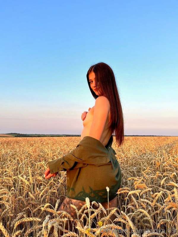 A little warmth and summer for you🌤️🌾
