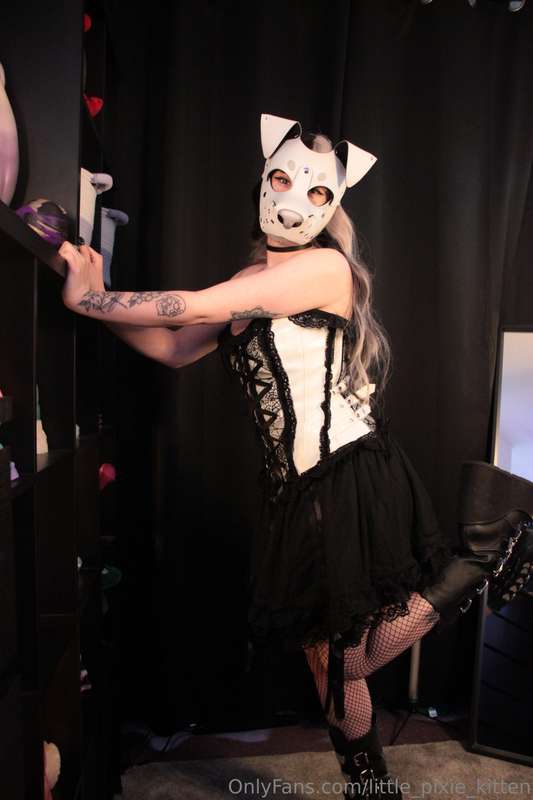 little_pixie_kitten image #8