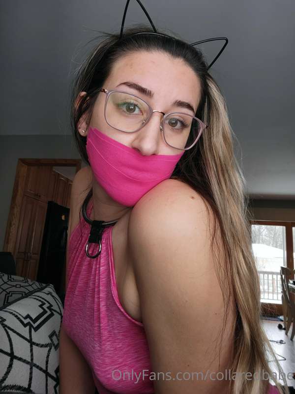 collaredbabe image #4