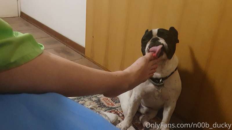 media