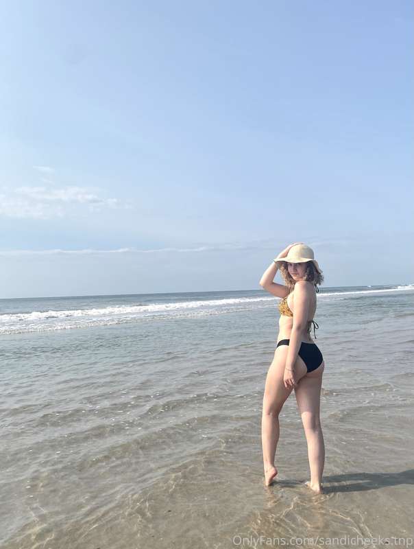 sandicheeks.tnp