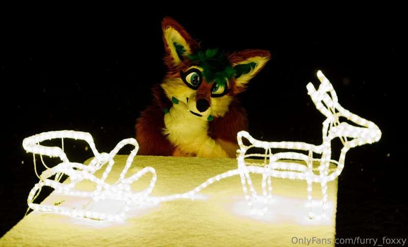 furry_foxxy