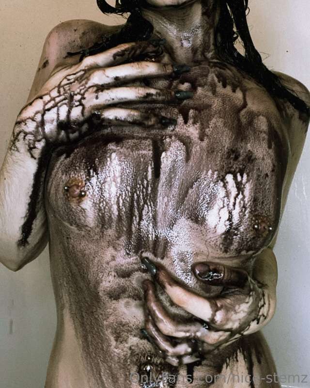 nice-stemz image #1