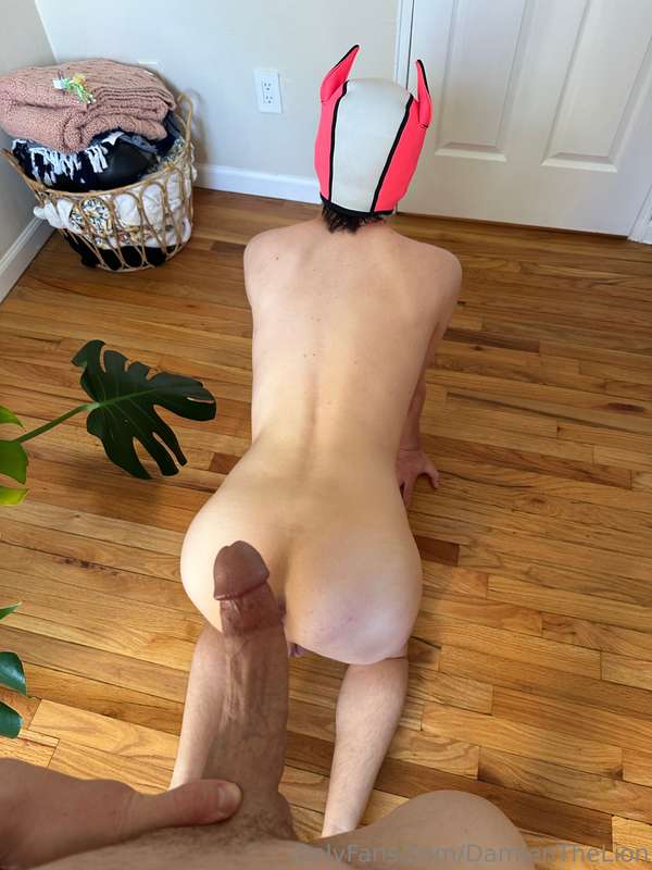 Think @PupClover can take it? (Spoiler: he can)