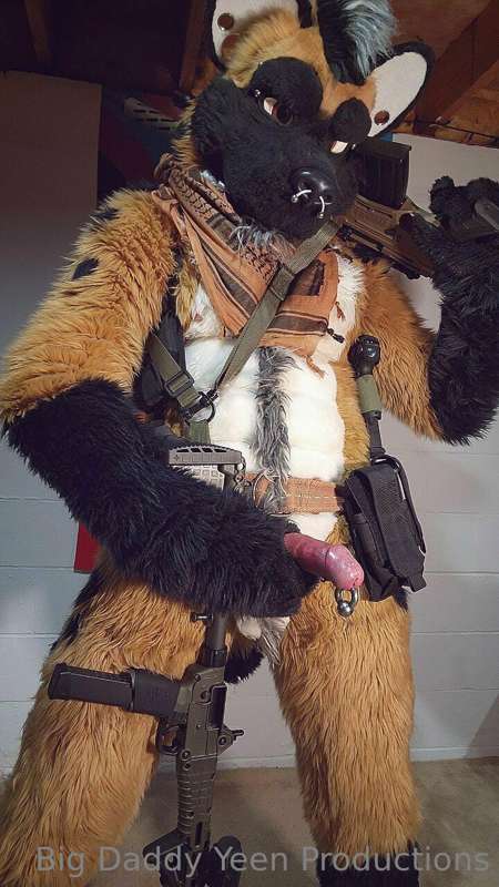 media