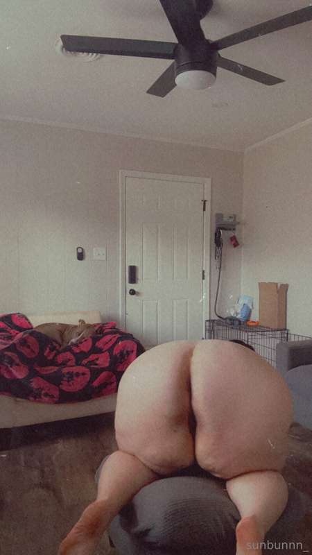 pawgwithablog97