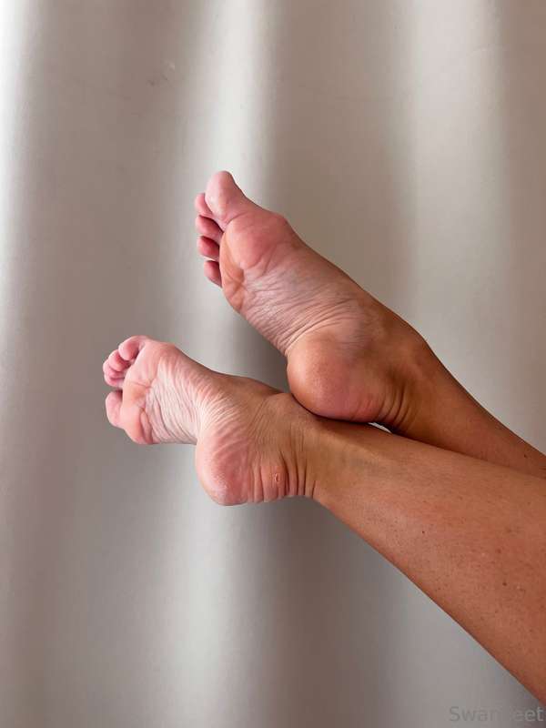 swanfeet